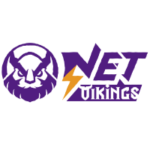 logo-netvikings